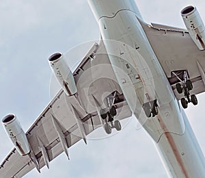 Beneath an airplane photo