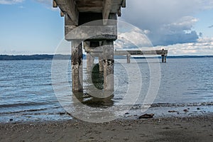 Beneath Dash Point Pier 2