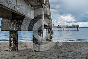 Beneath Dash Point Pier 3