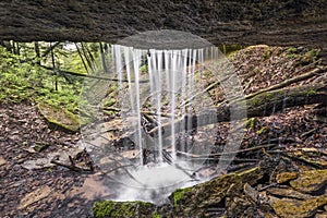 Beneath Maidenhair Falls photo
