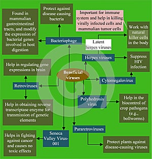 Beneficial viruses, including bacteriophages and retroviruses