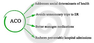 Benefits of Accountable care organization photo