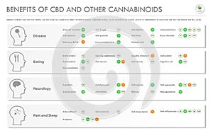Benefits of CBD and Other Cannabinoids horizontal business infographic