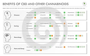 Benefits of CBD and Other Cannabinoids horizontal business infographic photo