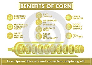 Benefits of Corn Infographics - Vector flat design