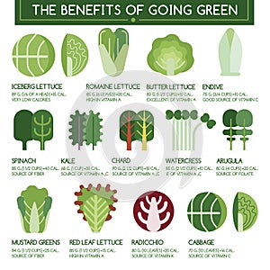 The benefits of going green