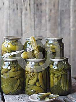 The benefits and harms of canned pickled cucumbers. Pickled cucumbers on a fork and in cans on a wooden ancient background. Side