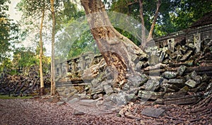 Beng Mealea or Bung Mealea temple. Siem Reap. Cambodia. Panorama