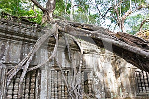 Beng Mealea. a famous Historical site(UNESCO World Heritage) in Siem Reap, Cambodia.