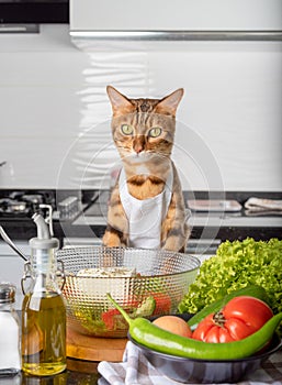 Bengal cat, Greek salad bowl, vegetables and olive oil