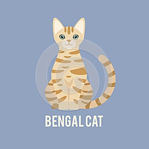 A Bengal cat is sitting.