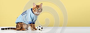 Bengal cat in a T-shirt with a soccer ball