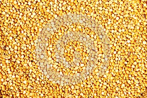 Bengal gram split or pulse. Chana Daal