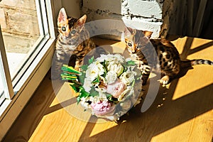 Bengal kittens standing on table near bouquet of flowers