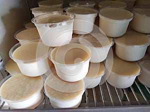 Bengal`s famous yogurt `mishti doi` is kept in some plastic cup