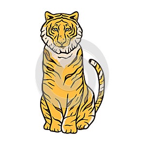 Bengal tiger cartoon jungle safari tropical animal illustration.