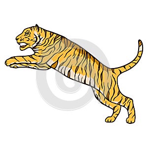Bengal tiger cartoon jungle safari tropical animal illustration.