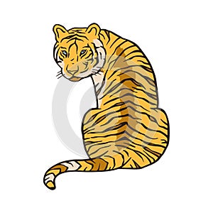 Bengal tiger cartoon jungle safari tropical animal illustration.