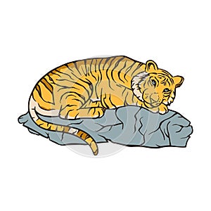 Bengal tiger cartoon jungle safari tropical animal illustration.