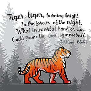 Bengal Tiger in forest poster design. Double exposure vector template. Old poem by William Blake illustration on foggy