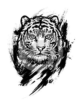 Bengal tiger. Graphic drawing. Realistic graphic illustration