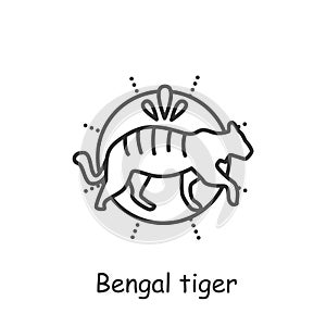 Bengal tiger line icon. Editable illustration