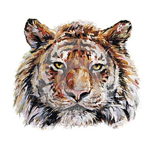 Bengal tiger muzzle closeup is isolated on a white background. Acrylic painting for design and print. Animal hand draw artwork