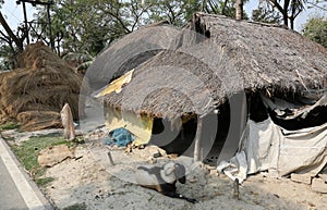 Bengali village Bosonti, India