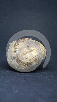 Bengkoang with a background black