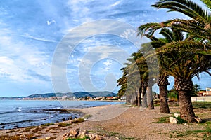 Benicarlo with palm trees coast view to Peniscola Spain photo