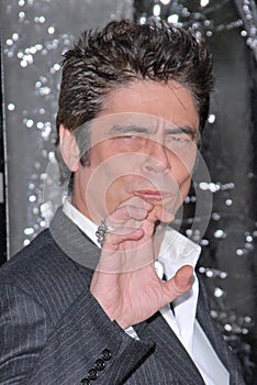 Benicio Del Toro