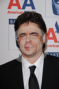 Benicio Del Toro