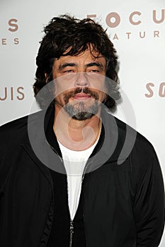 Benicio Del Toro