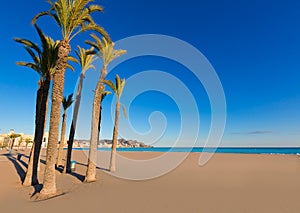 Benidorm Alicante playa de Poniente beach in Spain