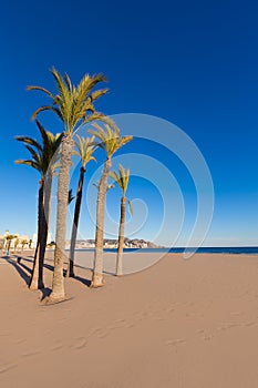 Benidorm Alicante playa de Poniente beach in Spain photo