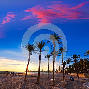 Benidorm Alicante playa de Poniente beach photo