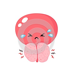 Benign prostatic hyperplasia. Cute  bladder