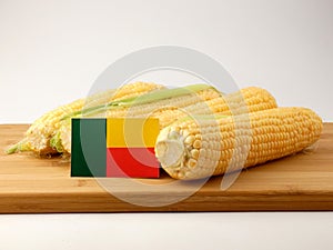 Benin flag on a wooden panel with corn isolated on a white backg