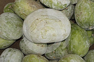 Benincasa hispida many indian pumpkin in market