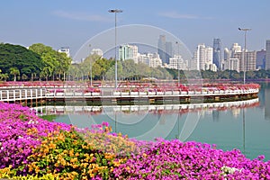 Benjakitti Park in Bangkok photo