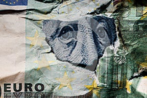 Benjamin Franklins face peeking out of a hole in a 100 euro banknote