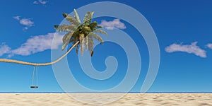 Bent palm tree on the beach with tire swing. summer time