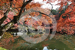 Benten-ike Pond and autumn leaves in Daigoji Temple, Kyoto, Japan