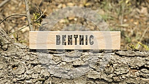 benthic Written on wooden surface. Frame on tree branch. Ecology and environment