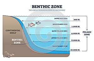 Benthic zone in ocean as lowest and deepest ecological zone outline diagram photo