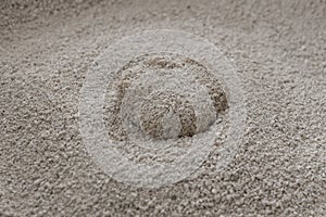 Bentonite Clumping Cat Litter