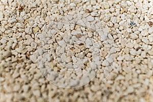 Bentonite clumping clay litter for cat litter box and pets close-up.