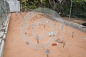 Bentota, SRI LANKA - 20 February 2016:sand incubator for turtles with signs and dates outdoor.The turtle eggs buried in the sand.