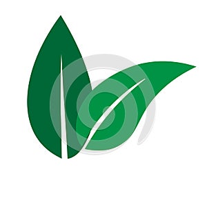 Green Leaf vector logo design and icon.