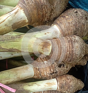 Bentul sweet potato is better than mbote, the cooking method is the same, just boil it, it& 39;s addictive photo